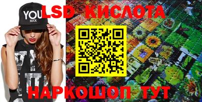 гидропоника Гатчина