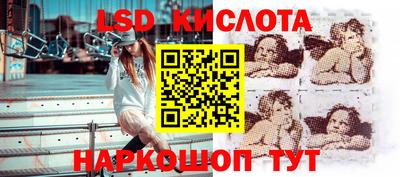 гидропоника Гатчина
