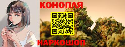 стафф Волгодонск