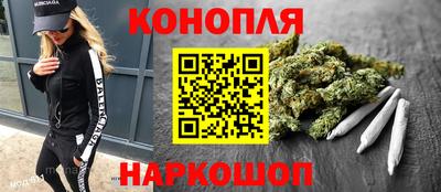 дживик Гай