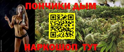 гидропоника Гатчина