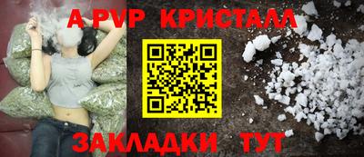 дживик Гай