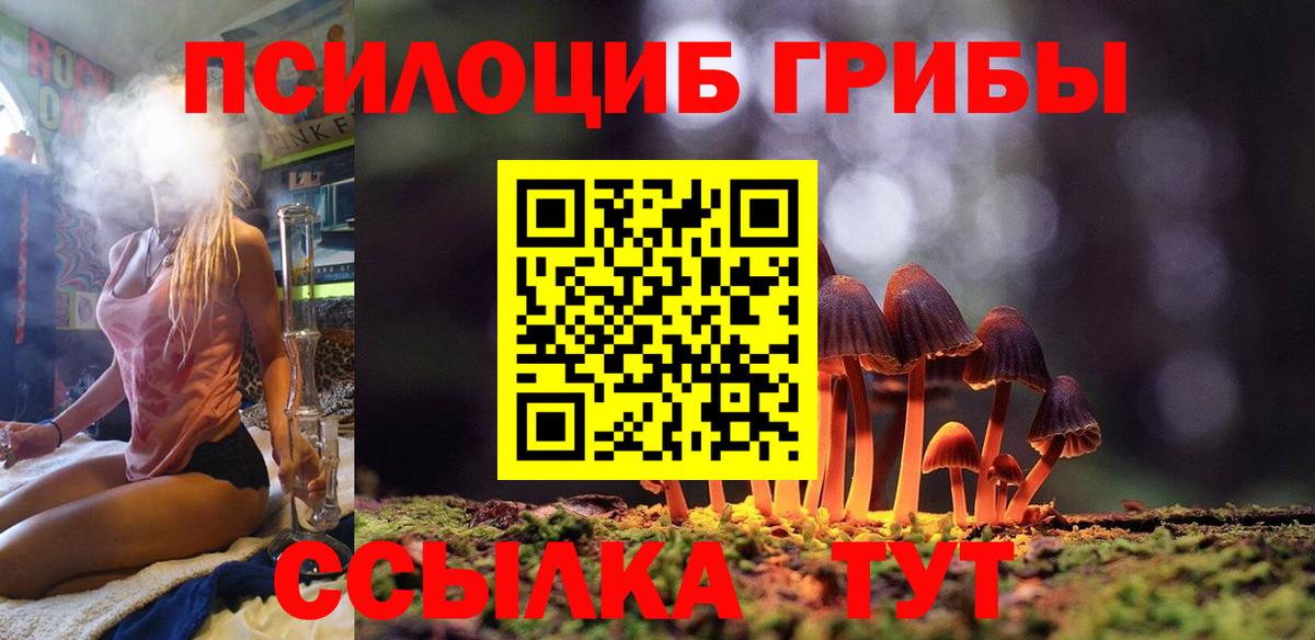 Галлюциногенные грибы Psilocybine cubensis  Вход с VPN  Псилоцибиновые грибы GOLDEN TEACHER  Карасук 